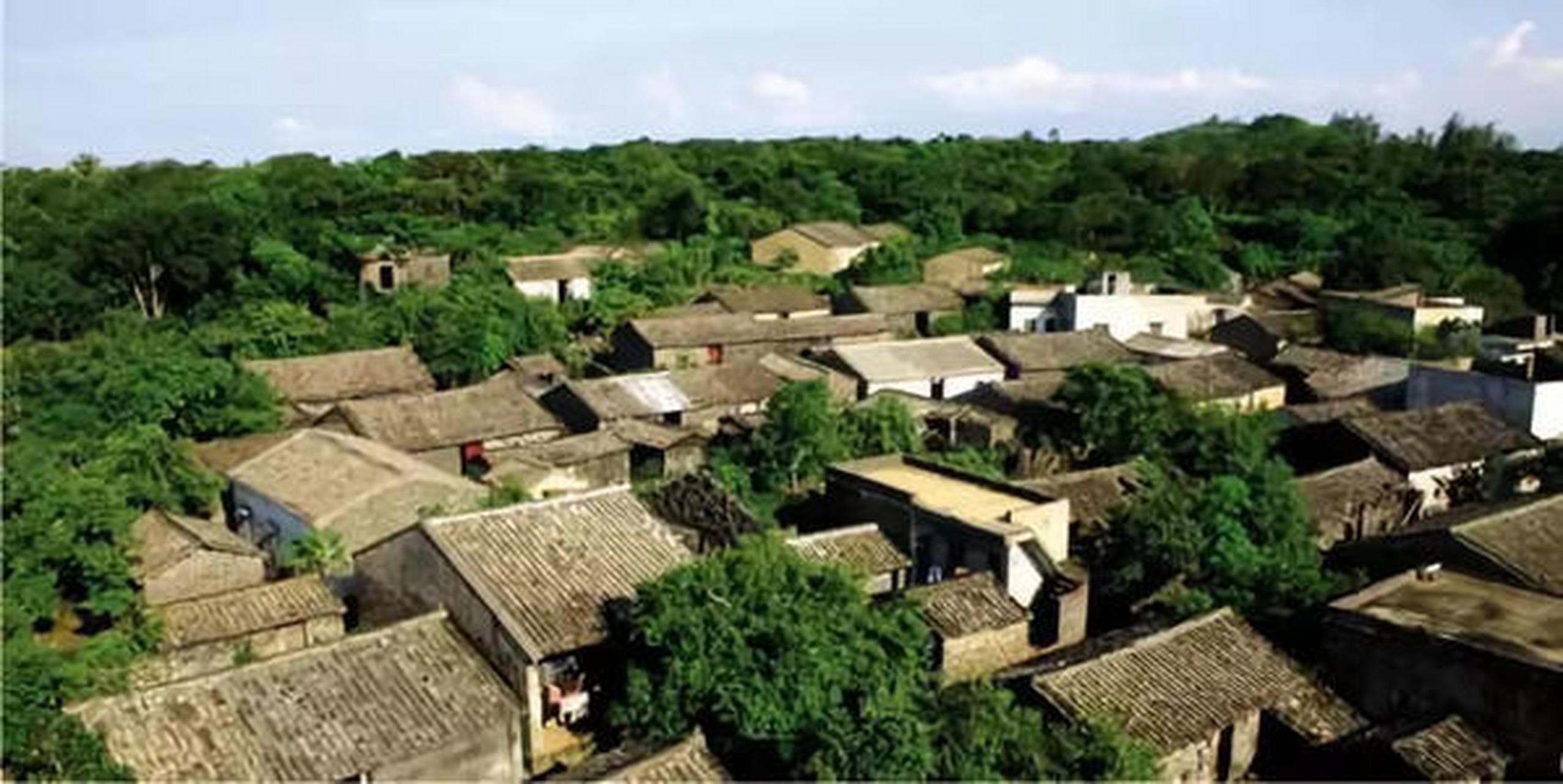 遇见美好# #遇见好风景# 罗帅村清晨云雾缭绕,夜晚鸟语花香,这里不仅