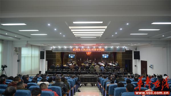 肖体赞等14名黑社会性质组织犯罪案在武冈开庭