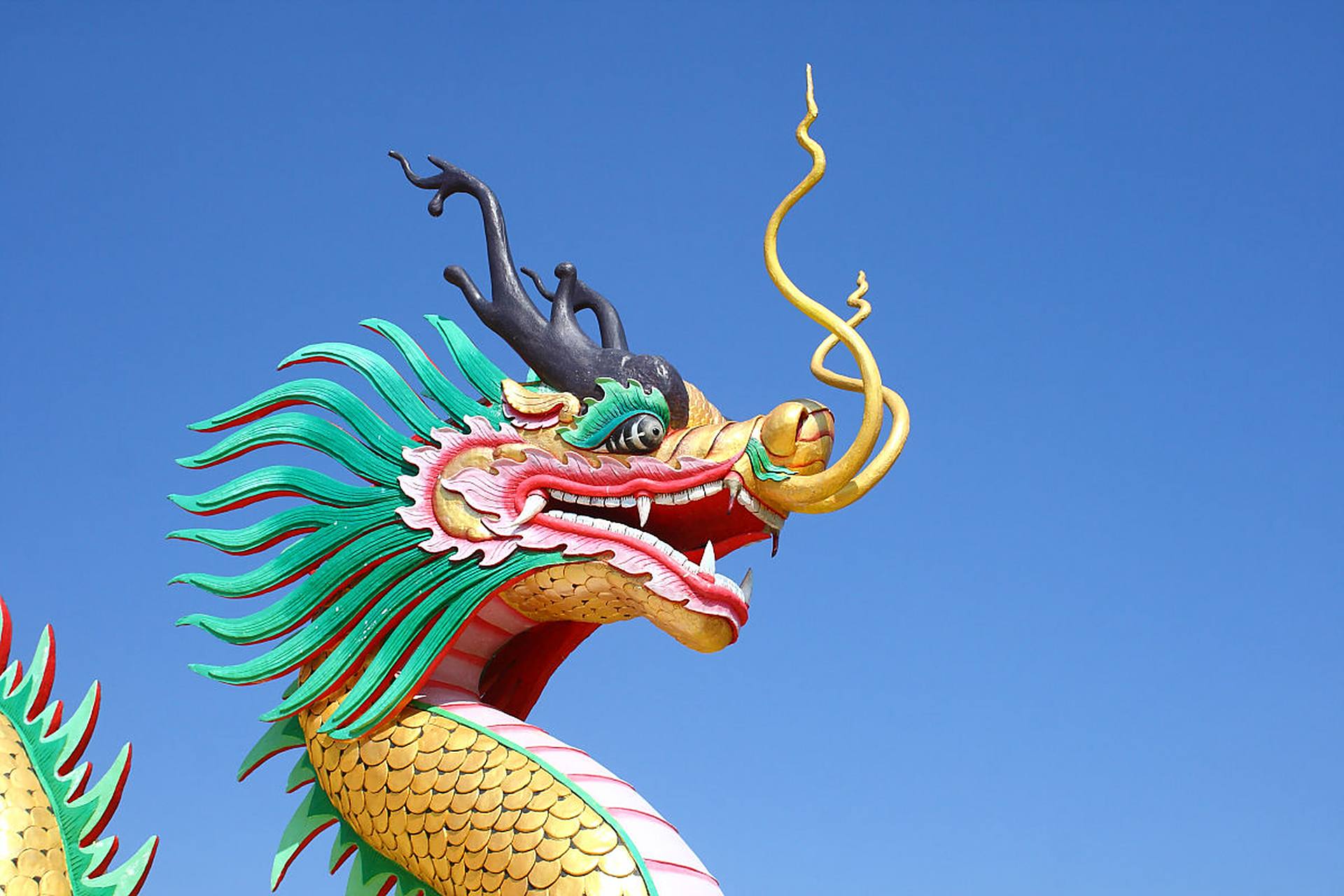 龙舟必须有龙头,栩栩如生的龙头往往是一艘龙舟的灵魂.