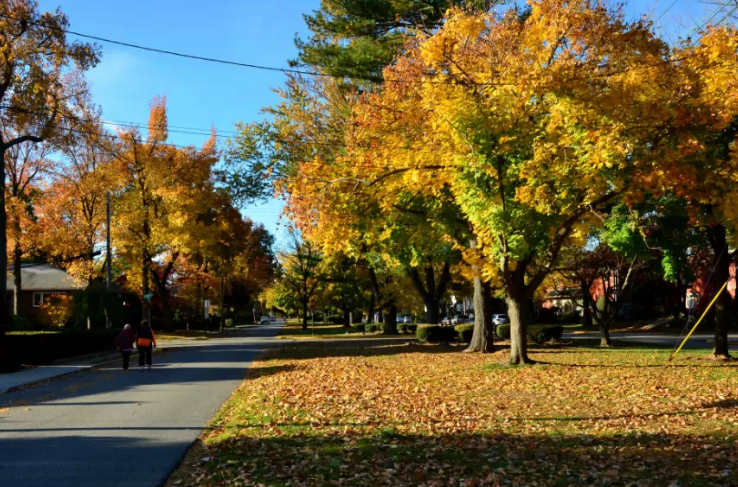 美图:新泽西秋韵的醉人景色