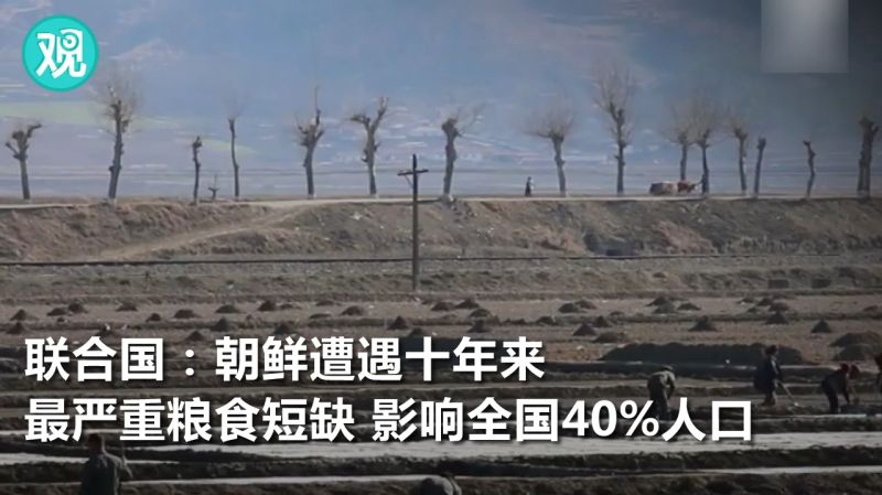 联合国:朝鲜正遭遇十年来最严重粮食短缺,影响全国40%人口