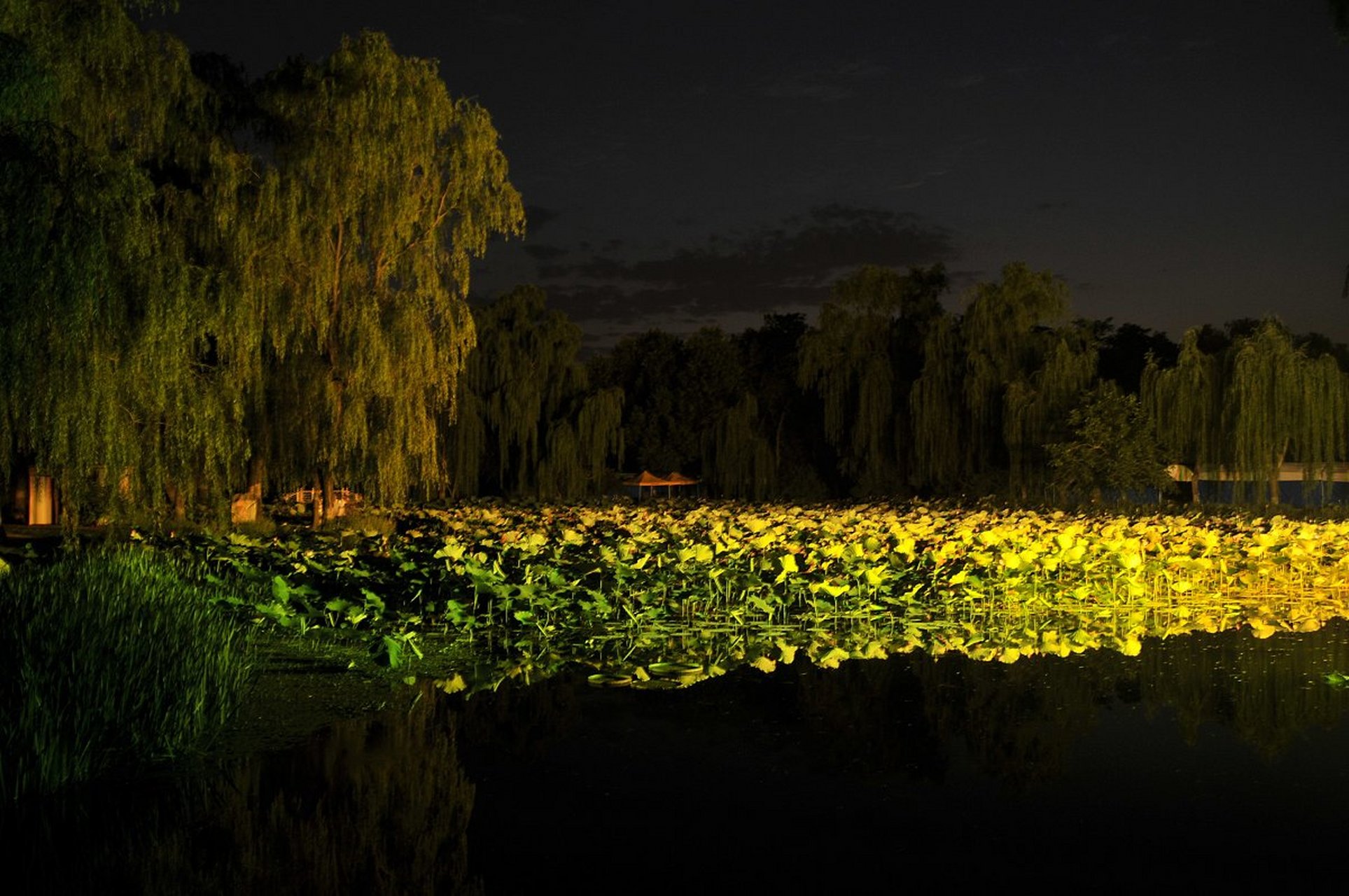 静夜沉思默想,兮醉意心境夜幕降临迁就       人间烟火似水流年碎影
