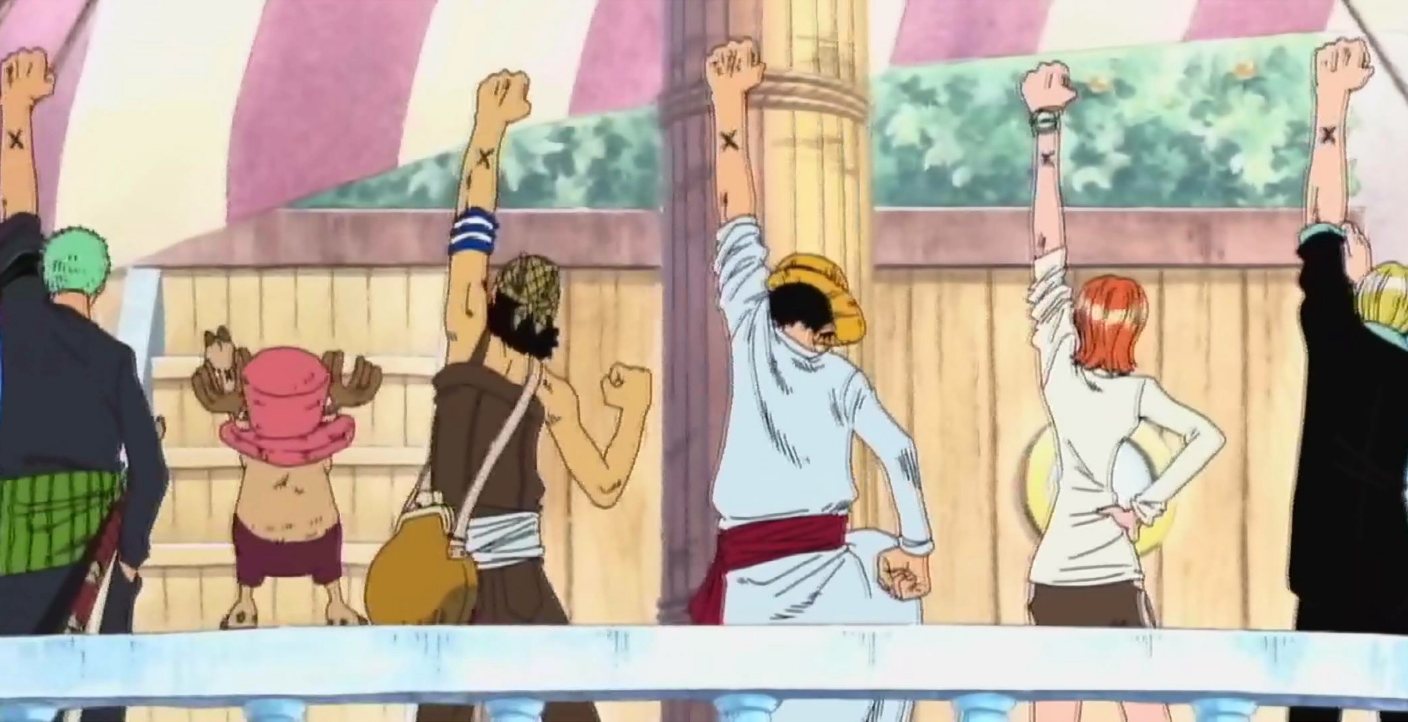 薇薇公主作为曾经的一员问还能不能做伙伴,公主与海贼本应该是对立的