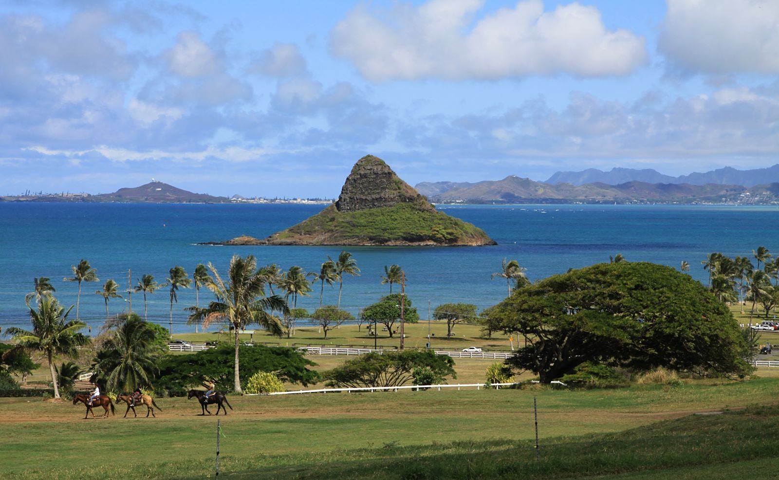 夏威夷古兰尼牧场,景优美,地貌多样,从陡峭的山崖蔓延到波光粼粼的