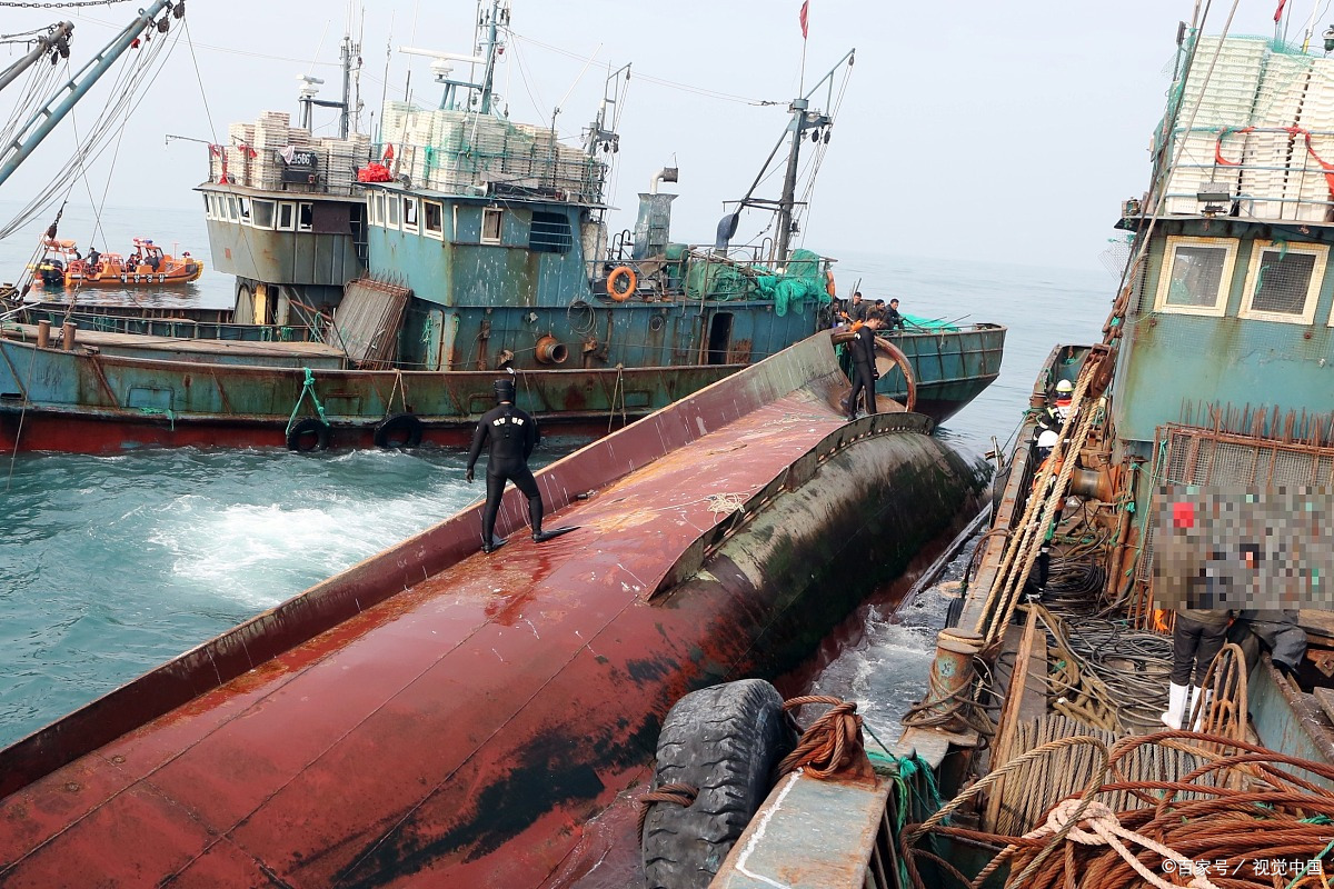 拖垮渔船堵塞核电站,一次产卵10亿颗,越前水母究竟有多可怕?