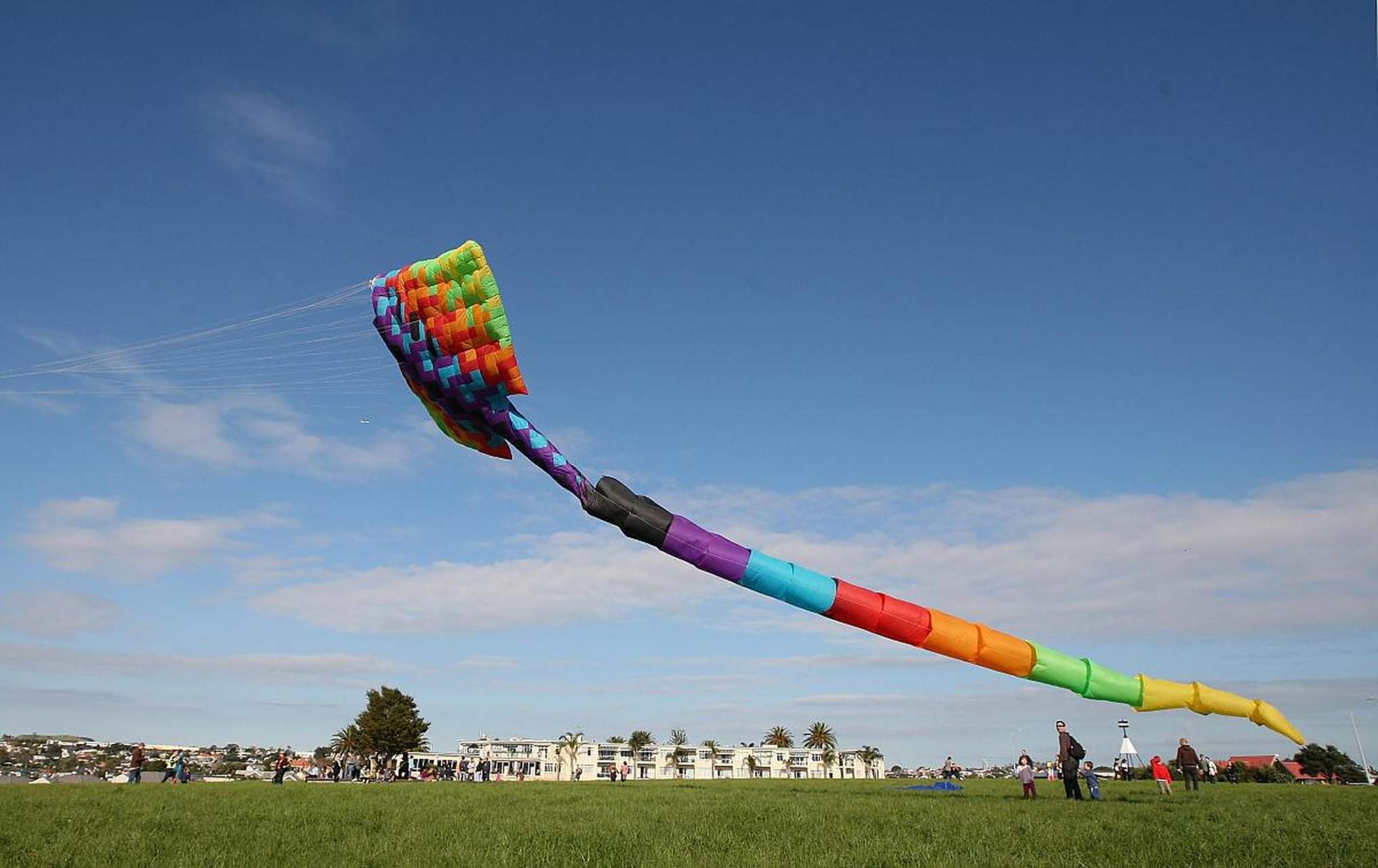 网友感叹到,有这么长的风筝吗,厉害了!但你知道世界放