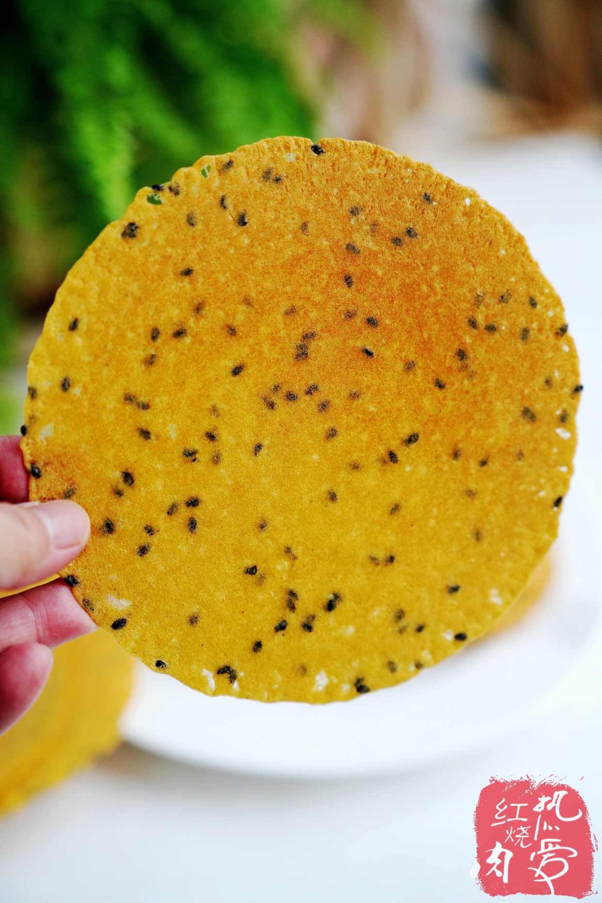 家里面粉霍霍光了,翻出一袋玉米面,做了一摞嘎巴脆的脆薄饼!