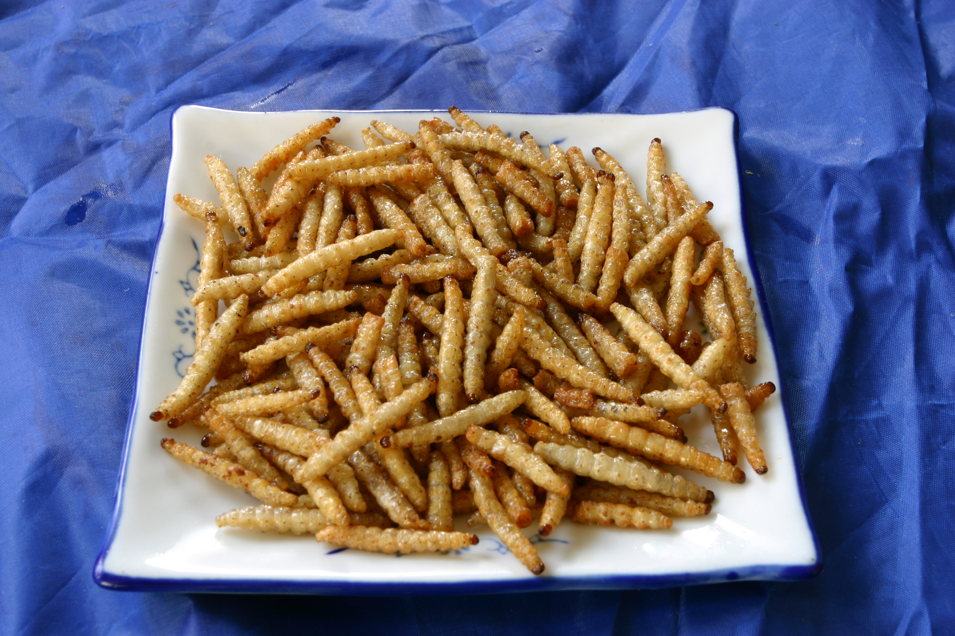 天天好胃口:给你推荐了几道地方美食,很有特色 傣味油炸竹虫