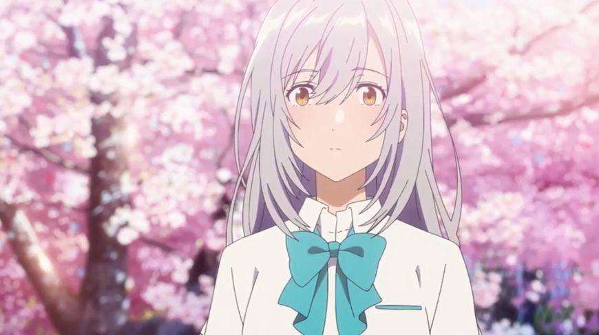 但是仅仅只有十三集啊,其实想想还是有点怕的,那个时候的《夏洛特》就