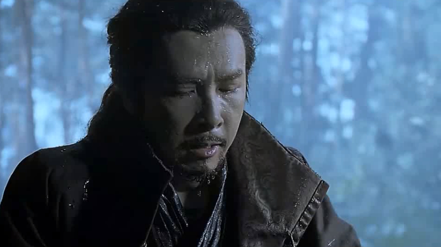 甄子丹经典电影推荐,你值得一看!