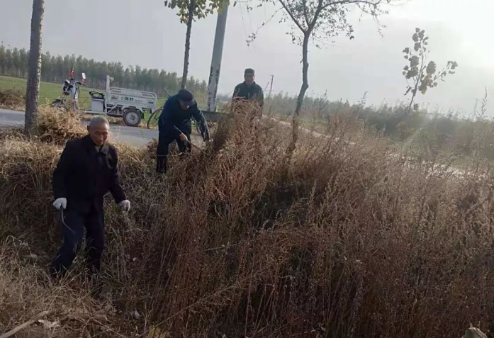 盐山县圣佛镇开展"为民服务办实事,清理荒草优环境"行动