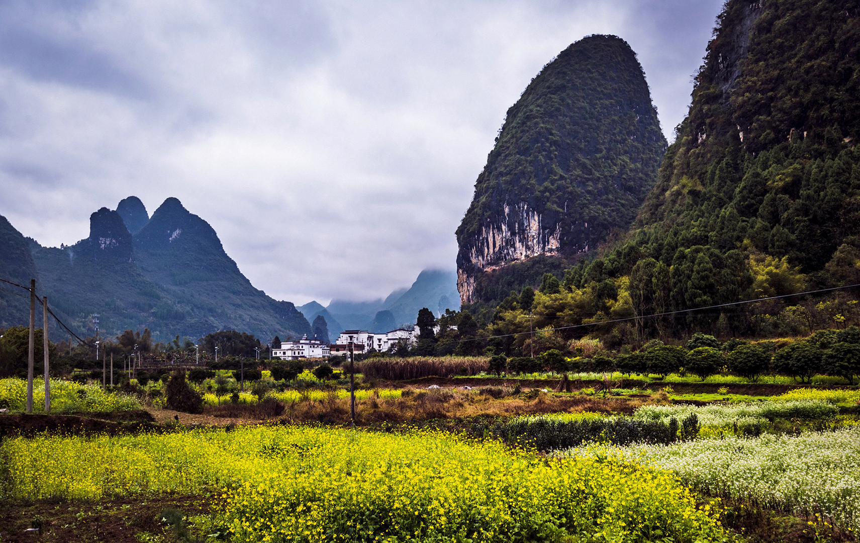 春天已经来到漓江边,正是看美景的好时候