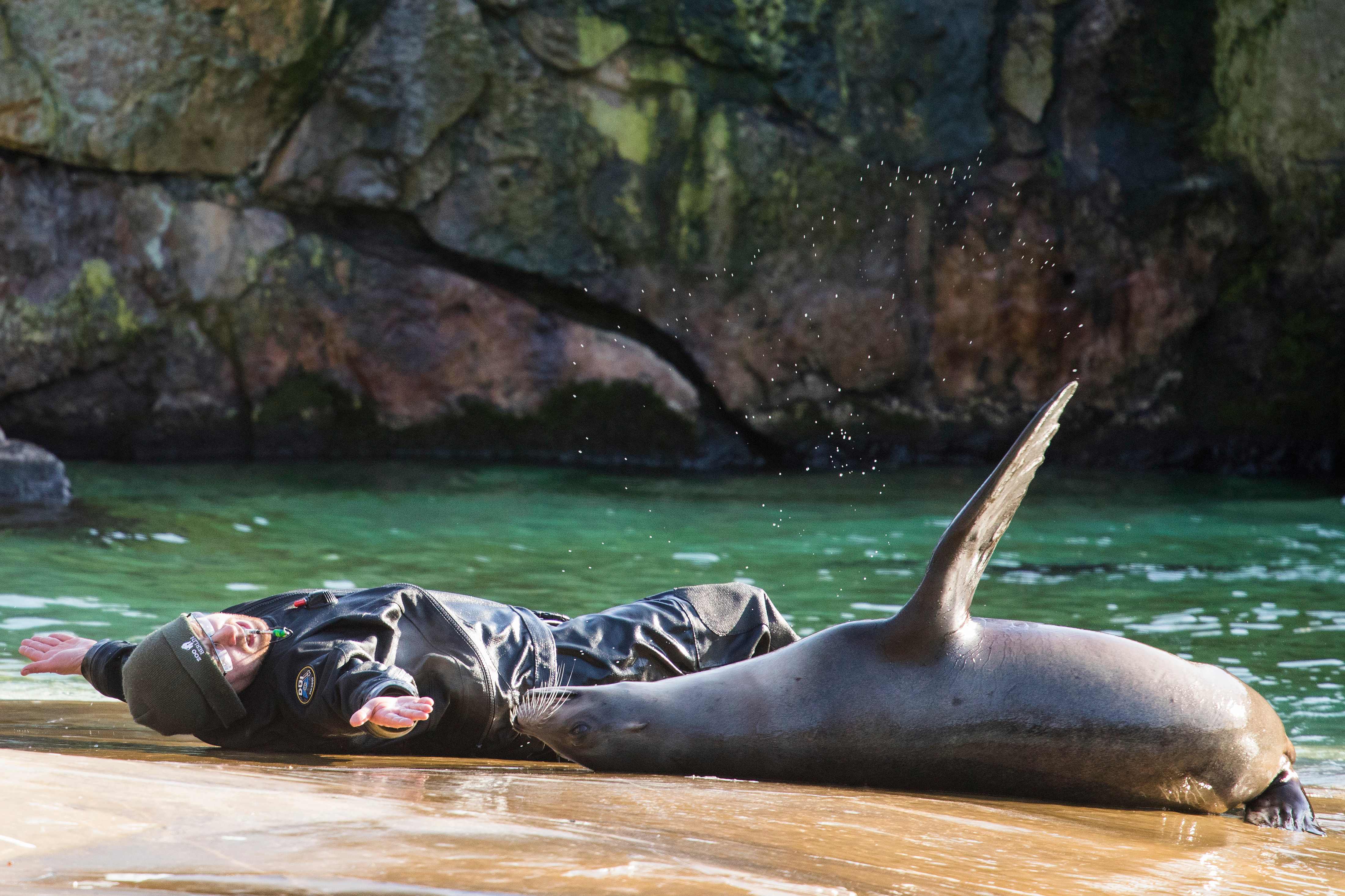 走进柏林动物园(4)