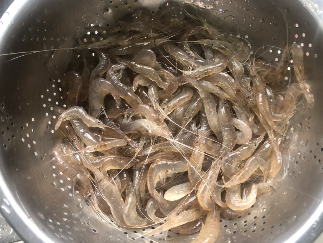 太湖白虾这么做,比盐水煮更有味,鲜味依旧,用它宴客好吃还实惠