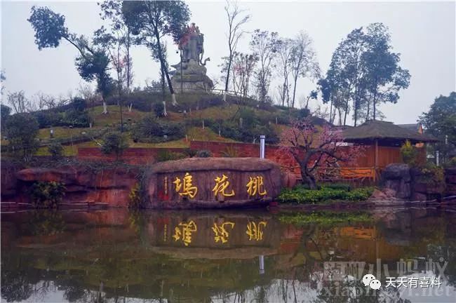 泸州桃花坞景区图片