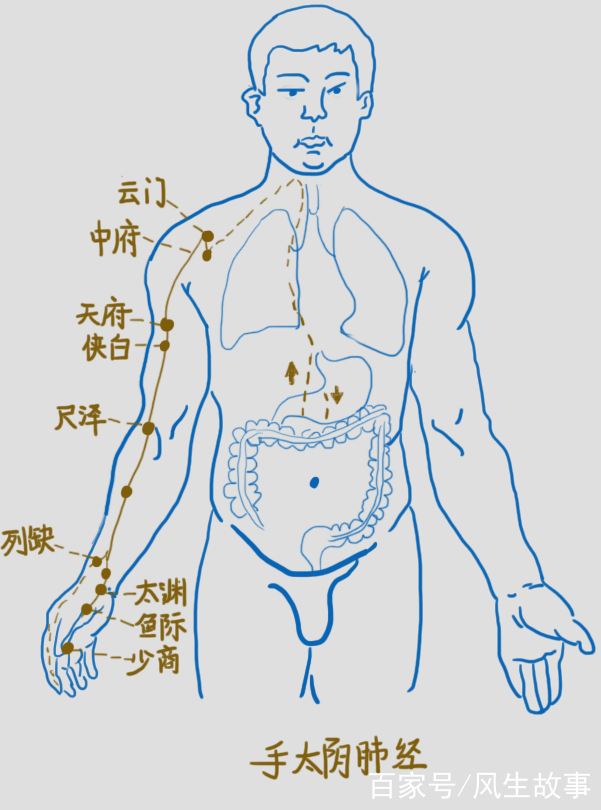 十二經絡歌之《手太陰肺經歌》