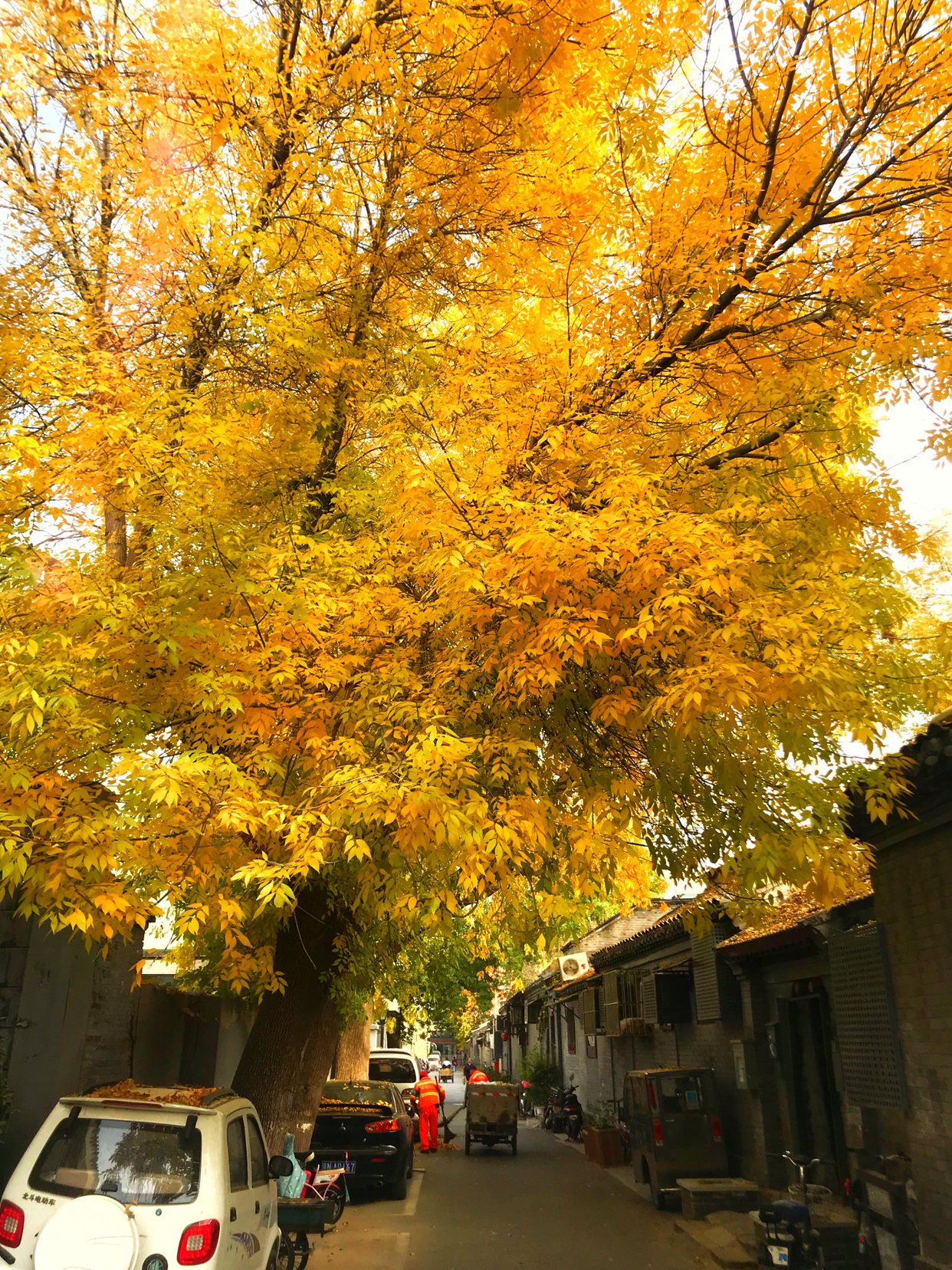 北京四合院秋冬景色6