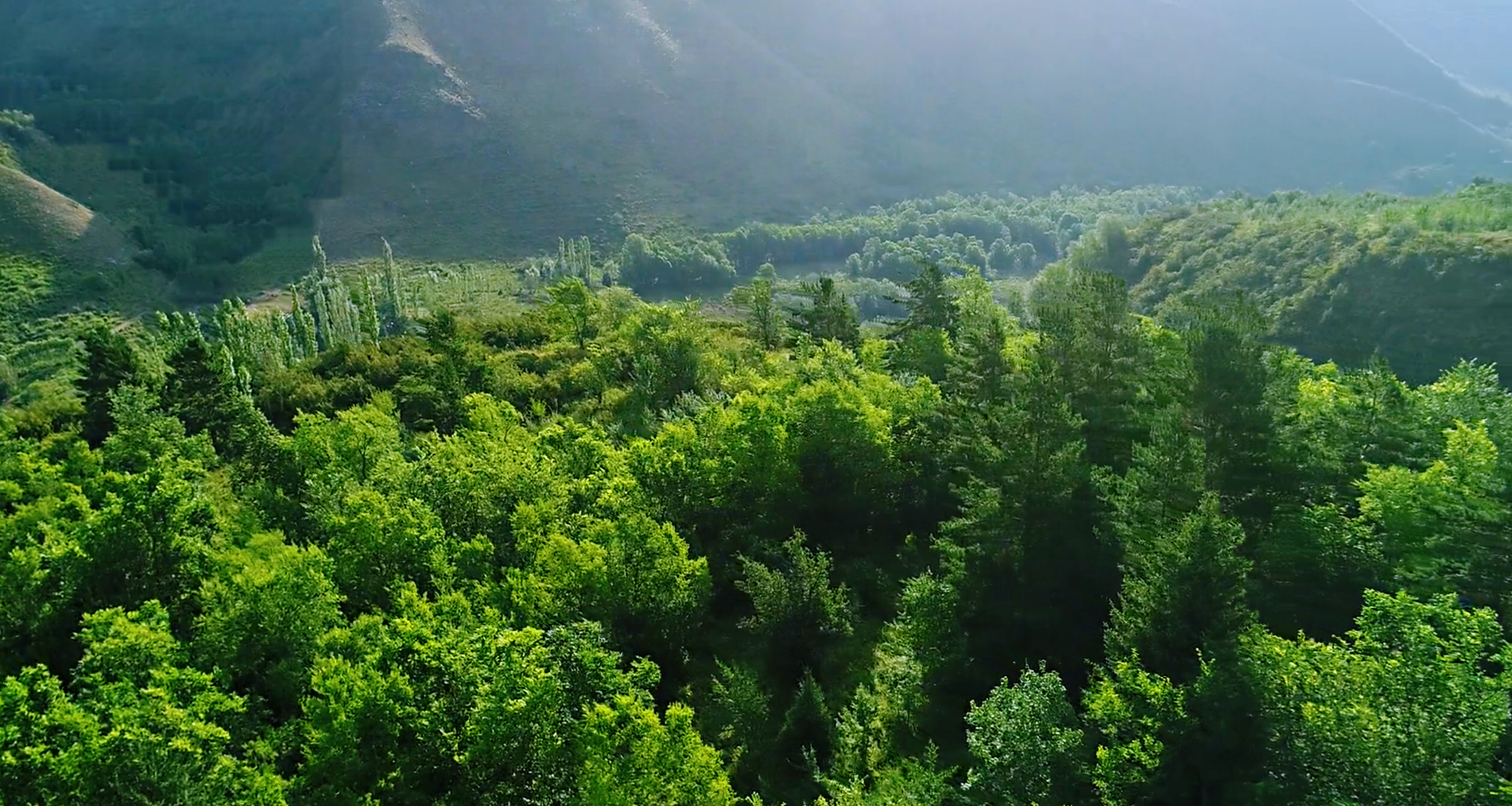 一路自驾航拍祁连山草原风光