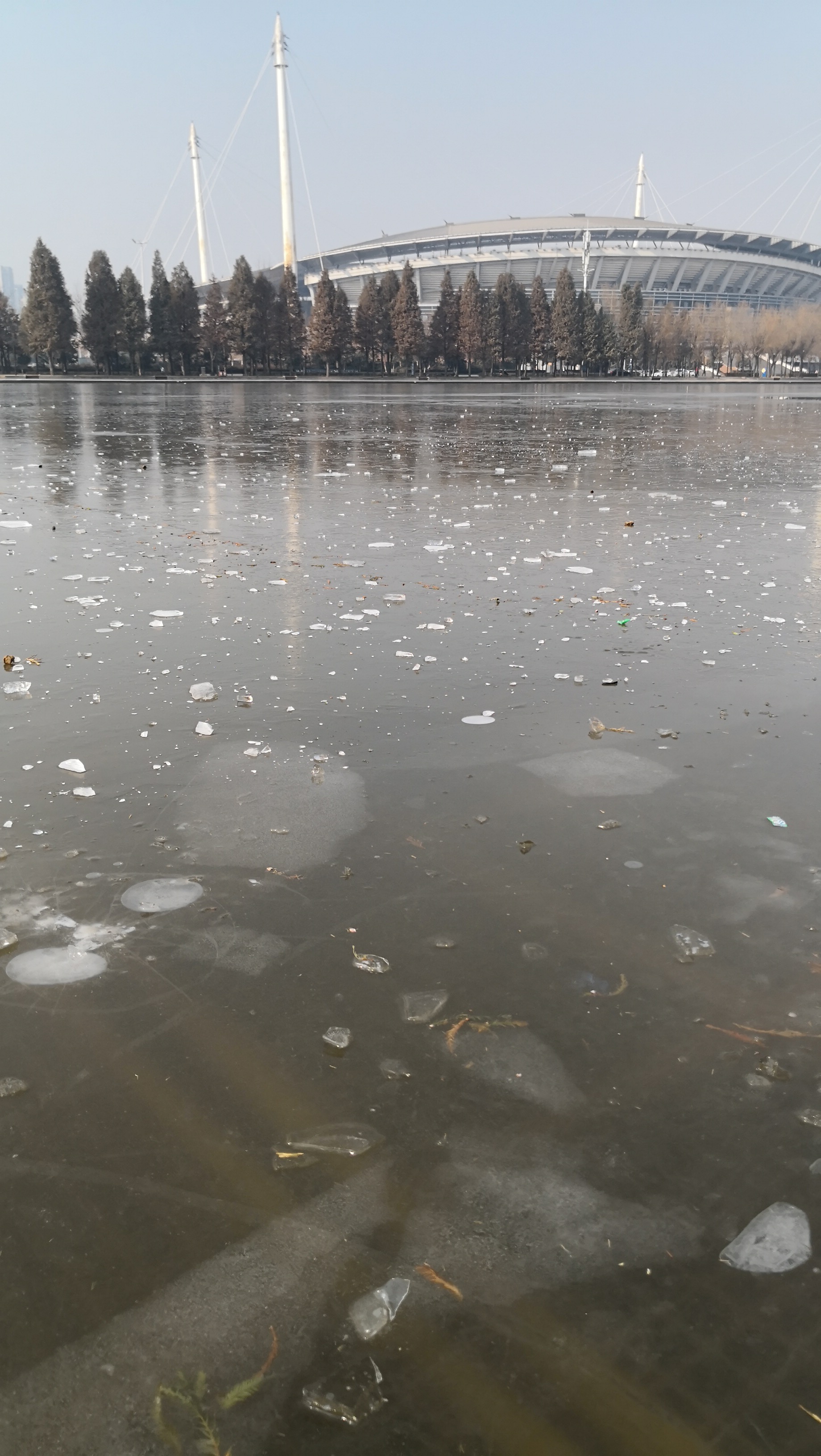 洛阳天气:湖面大片结冰,天气预报说要升温,伙计们感受到了吗?
