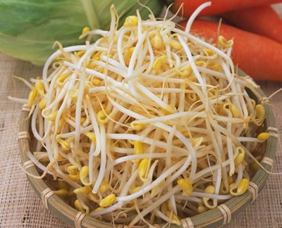 教你一个小妙招自己在家发豆芽,再也不担心吃到毒豆芽,新鲜省钱