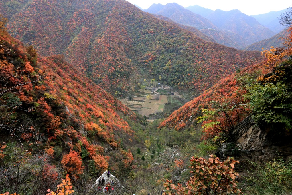 看万山红遍——秦岭东汤峪深处红叶盛景