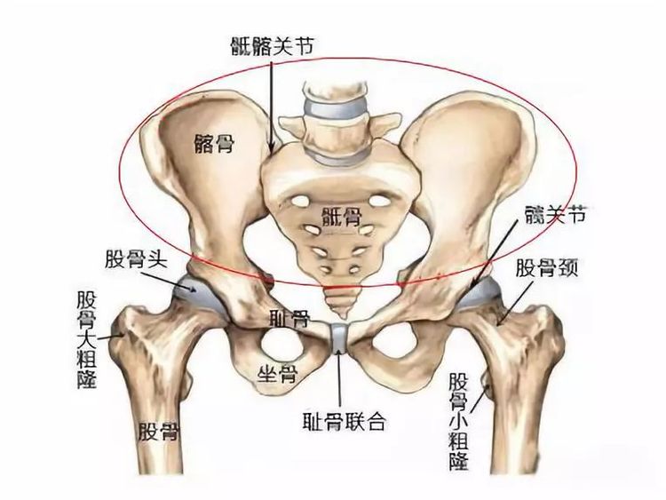 设备 热门商品专区