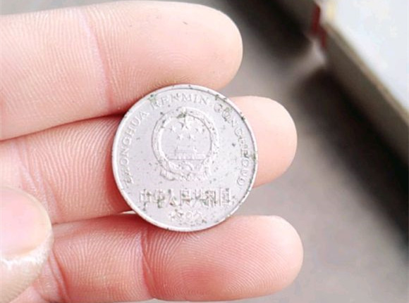 走亲戚买年货,找回来一枚硬币,着实让人稀奇,大家纷纷围观!