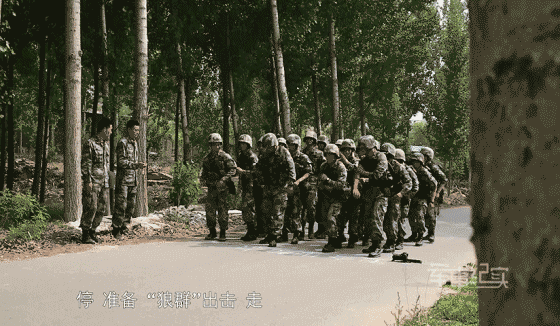 560_326gif 动态图 动图