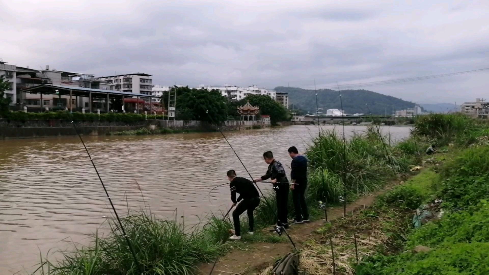 野生泥鳅做鱼饵,用六根海竿六号双钩钓大黑鱼,没想到意外大收获