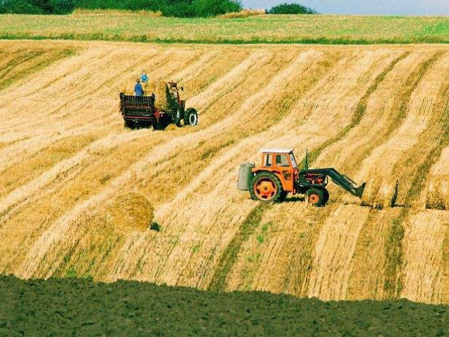 早期丹麦为农业国,农业占支配地位,为生活提供必需品