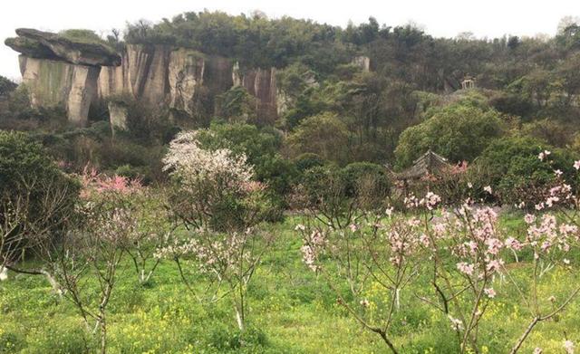 桃花灼灼如人间仙境 吼山桃花节将于3月24日开幕