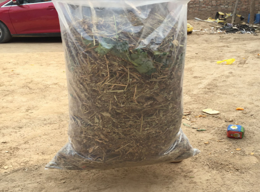 喂牛时塑料袋青贮简单实用,塑料袋用于青贮,要满足以下要求!