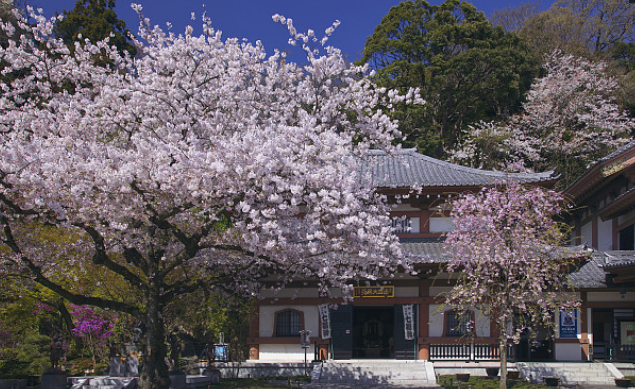 极乐寺是位在日本神奈川县镰仓市的真言律宗寺院,建成于1259年.