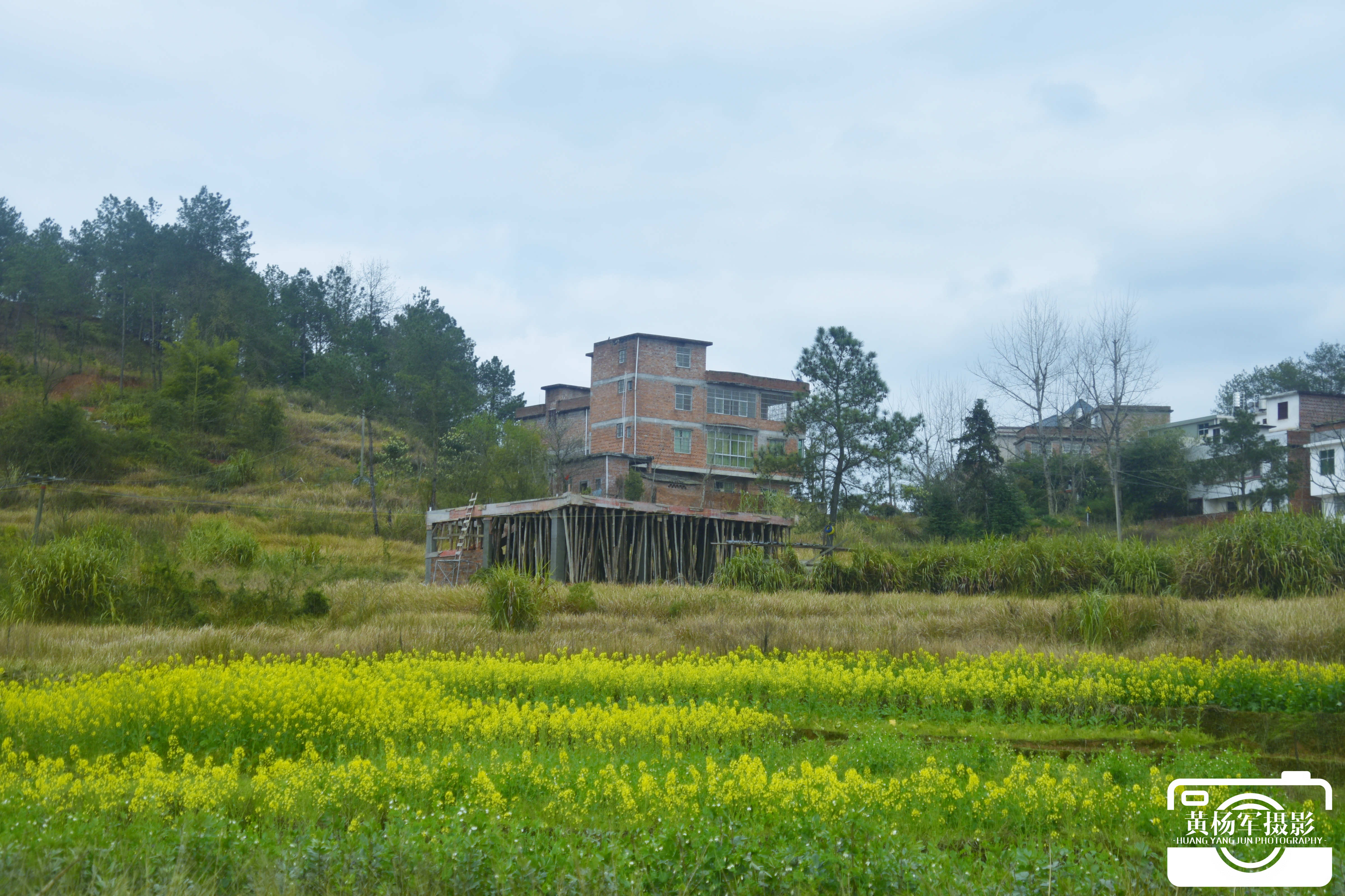 家乡风景照农村图片