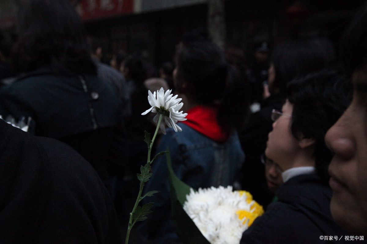 你怎么看:父母过世之后自己不哭,反而雇人来哭