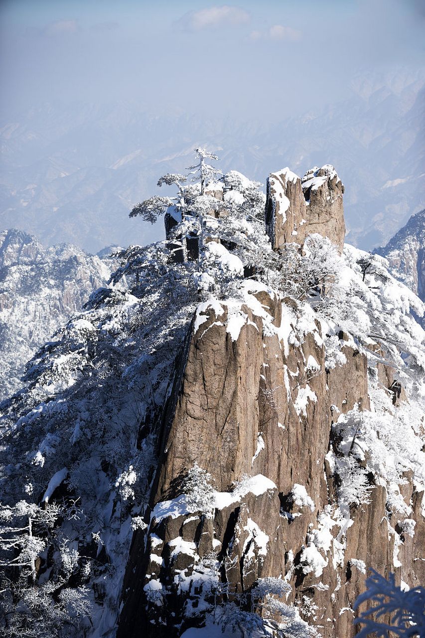 南岳衡山雪松图片图片