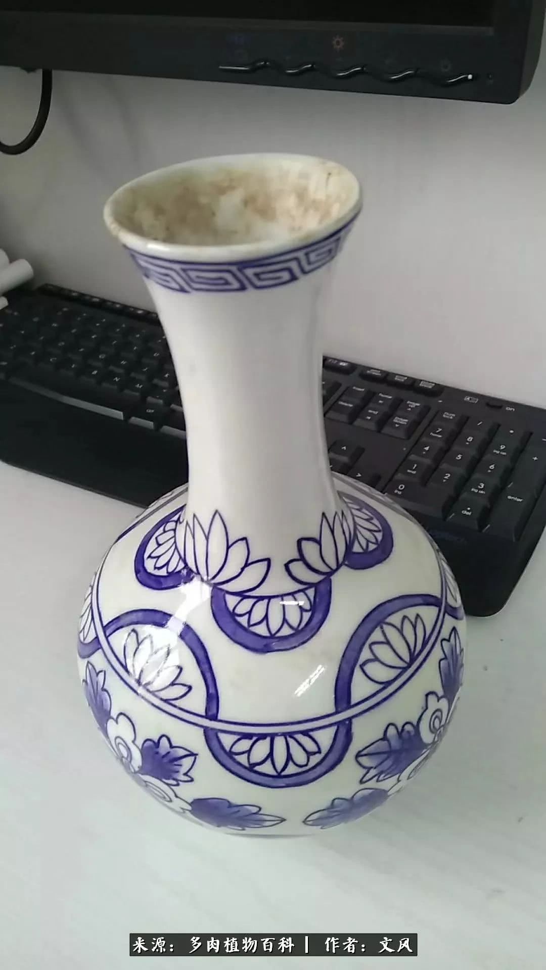 姐姐给的茶叶罐,精美极了!