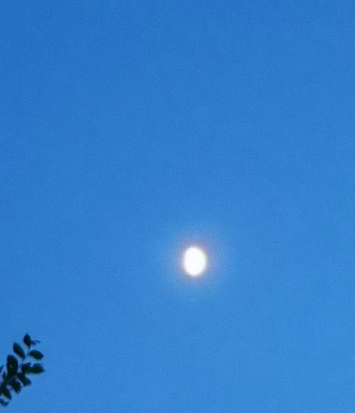 今天是中元节 祭奠哀思鸡冠山公墓行