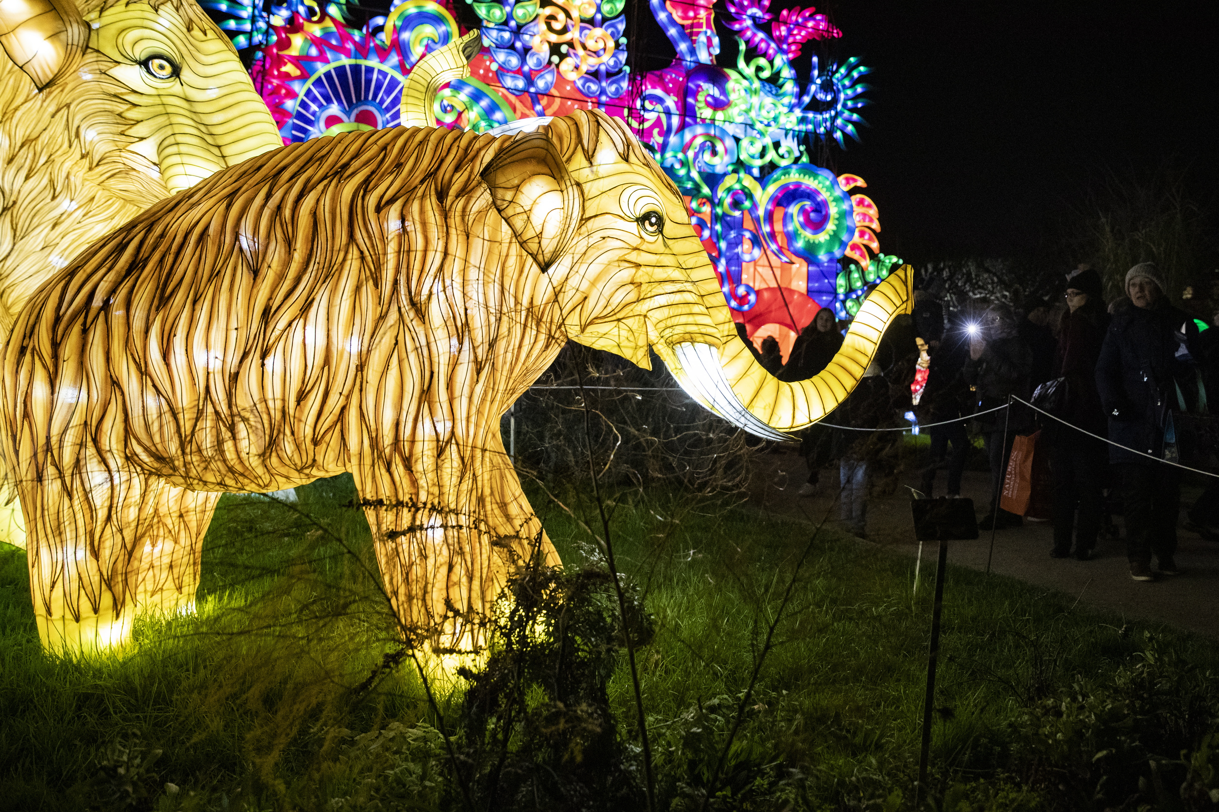 巴黎举办濒危动物彩灯展