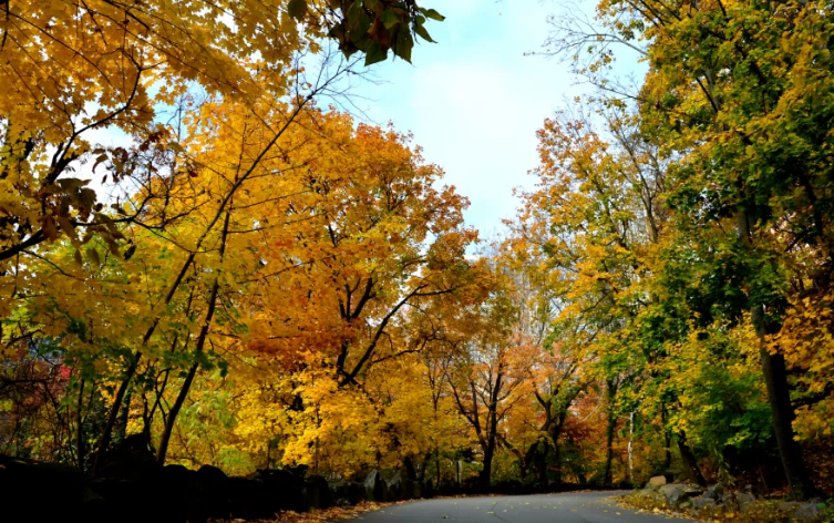 美图:新泽西秋韵的醉人景色