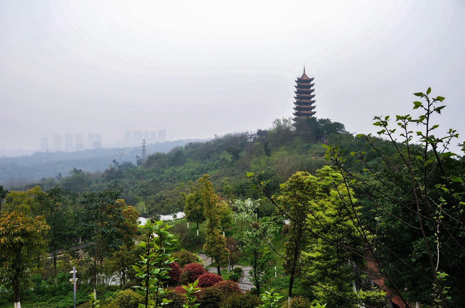 重庆植物园 照母山图片