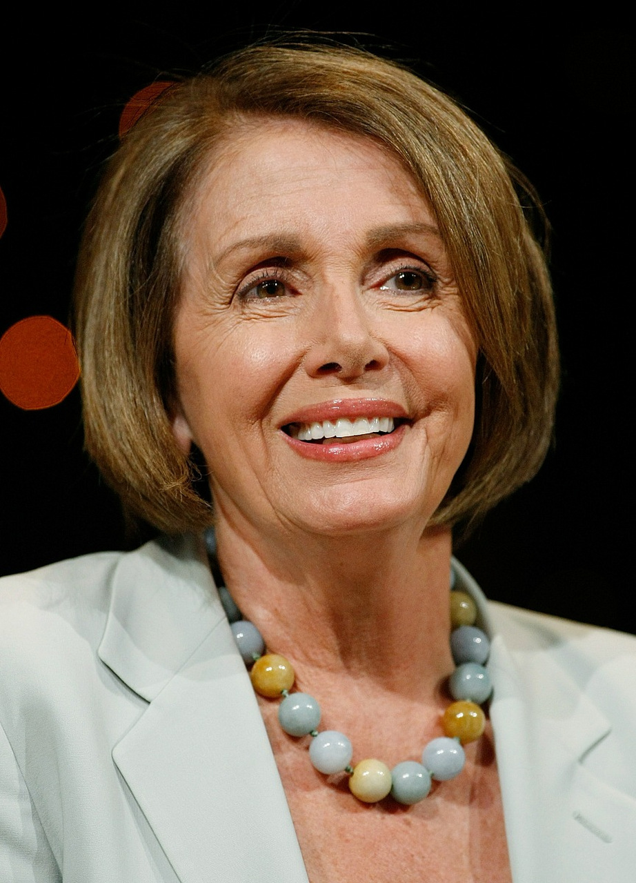 美国前众议院议长佩洛西在cnn采访中称自己是"冷血爬行动物",并表示将