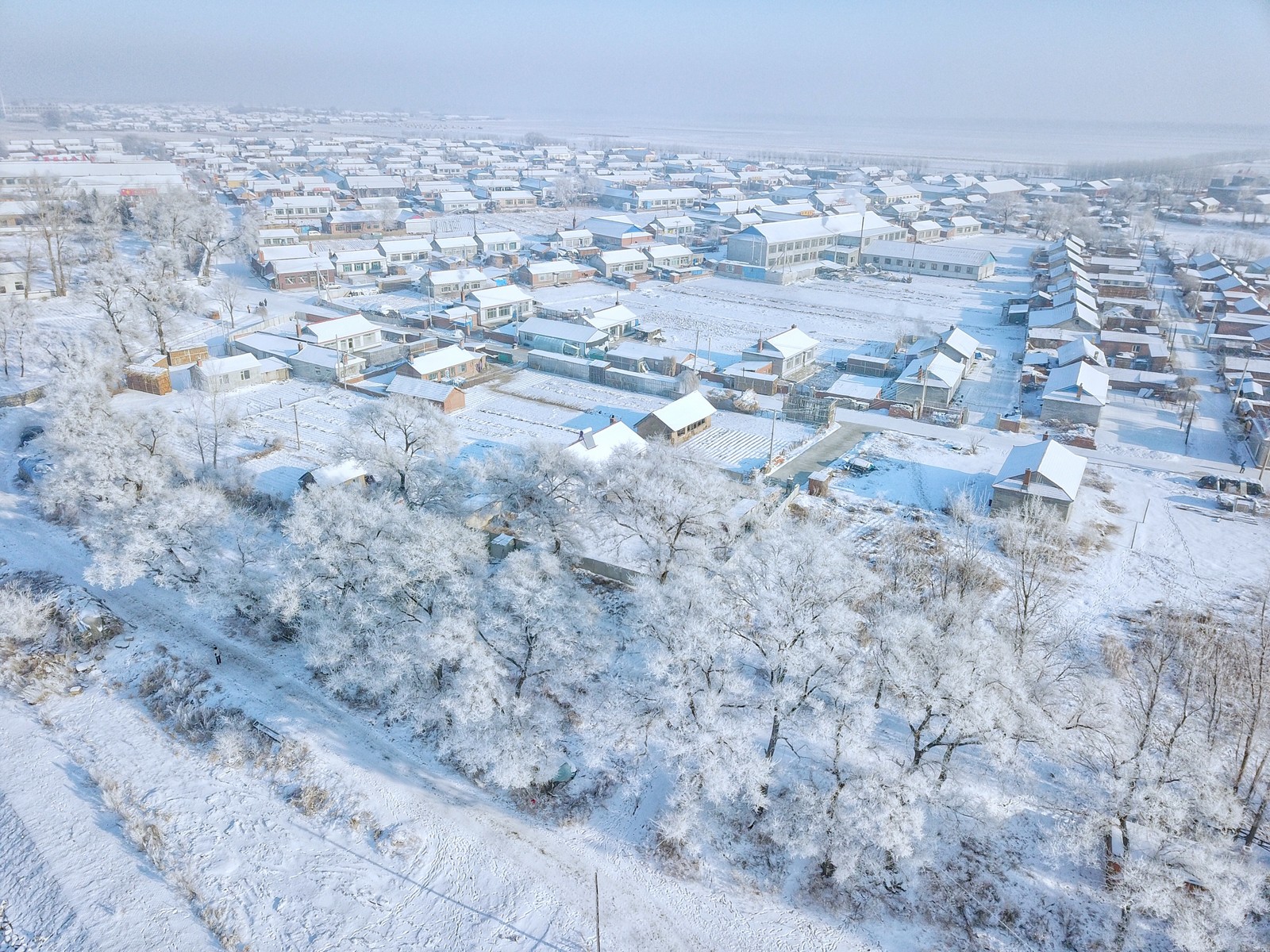 无人机航拍雾凇岛,冰雪童话世界里千树万树梨花开