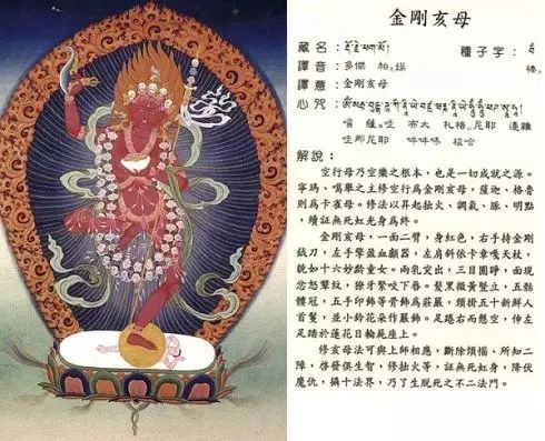 75幅藏密实修唐卡(藏汉对照)