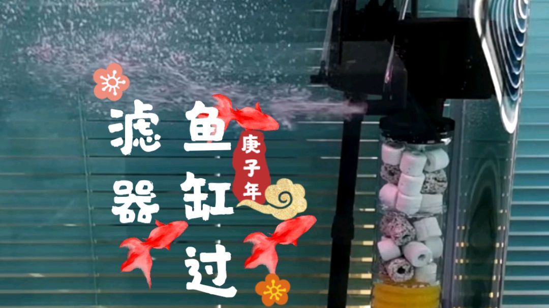 花130元组装鱼马桶,功能齐全三合一,以后不用再给鱼缸换水了