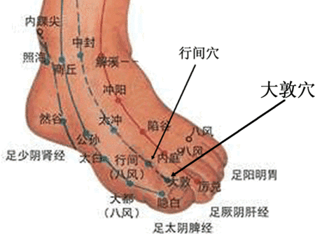 脚指经络图解图片