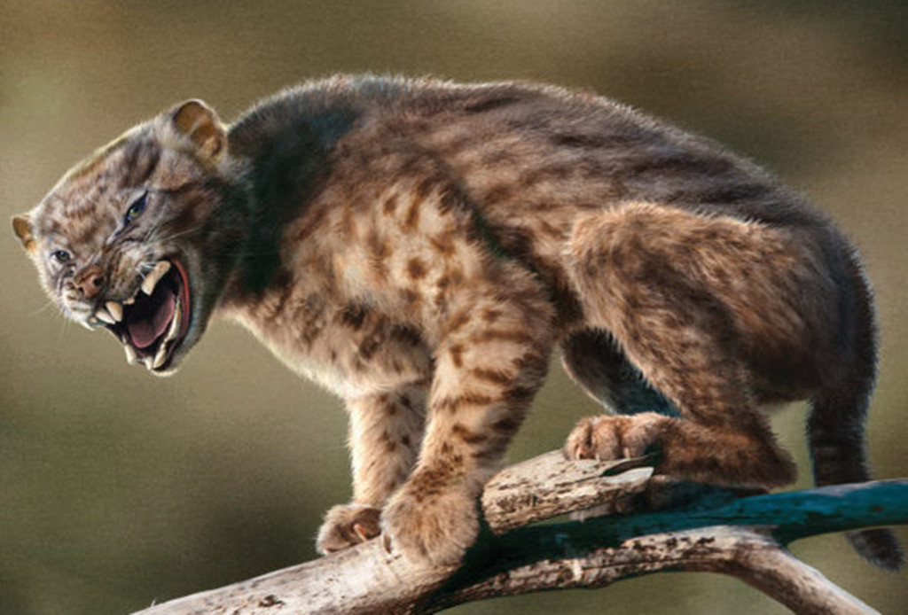 澳大利亚的"狮子",咬合力是非洲狮的3倍,而且擅长爬树