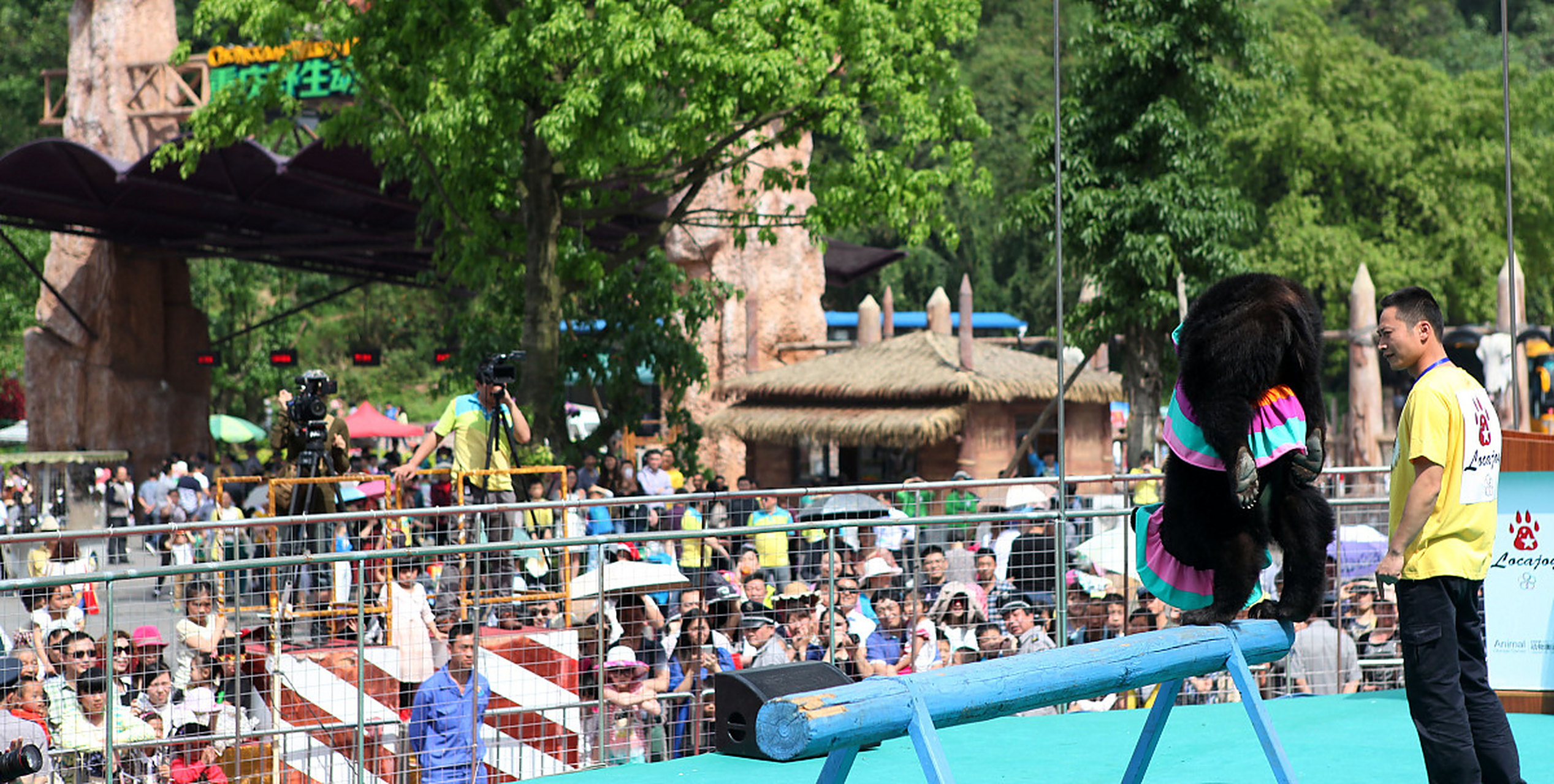 [原文:牡丹江黑宝熊乐园度假区是.