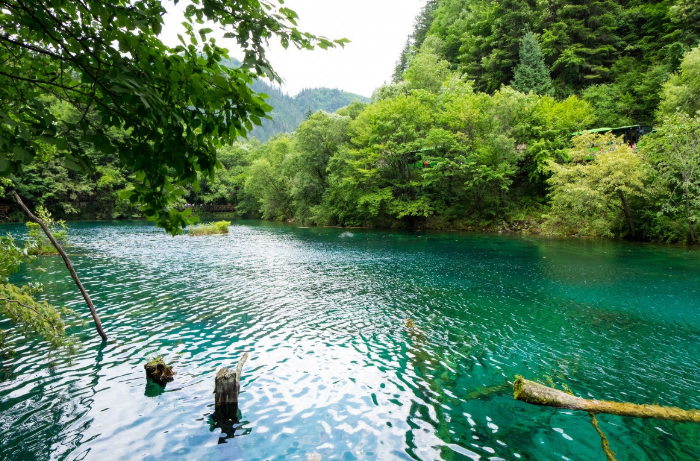 孔雀湖,在九寨沟国家公园中最大的湖泊之一.
