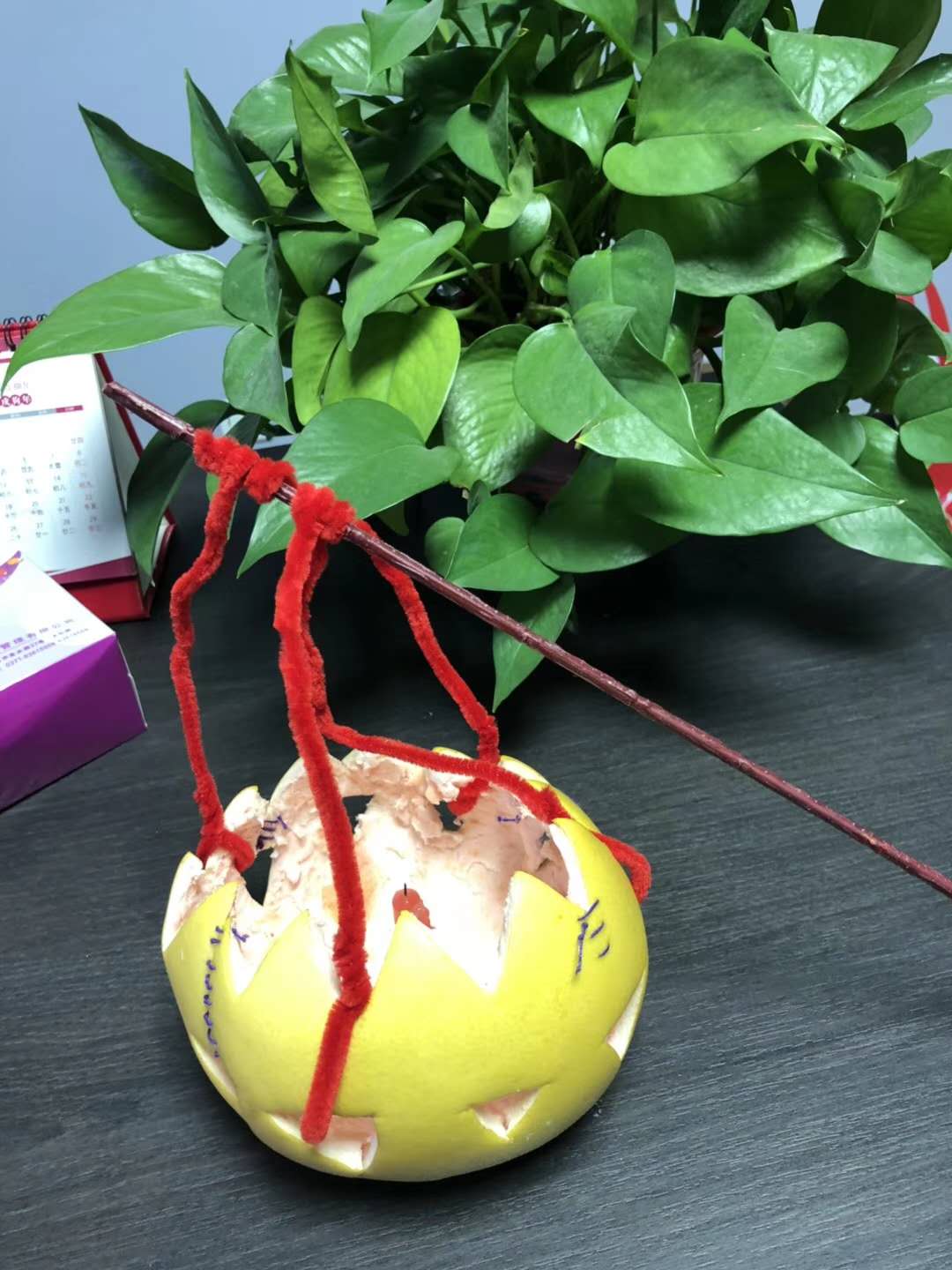 柚子皮艺术手工制作图片